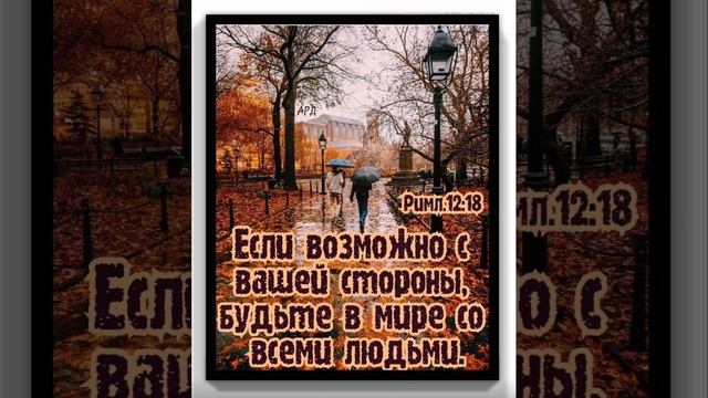 IMG_20241005_173018.mp4