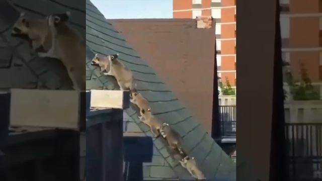 А что другого выхода нет