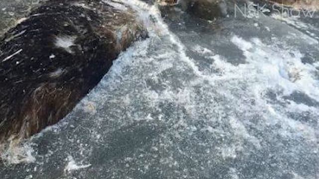 5 ШОКИРУЮЩИХ НАХОДОК ВО ЛЬДУ