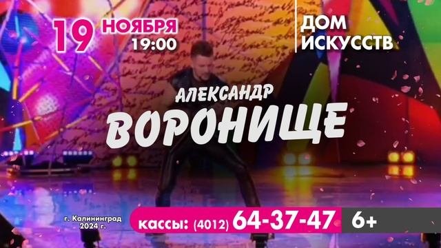 Александр Воронище