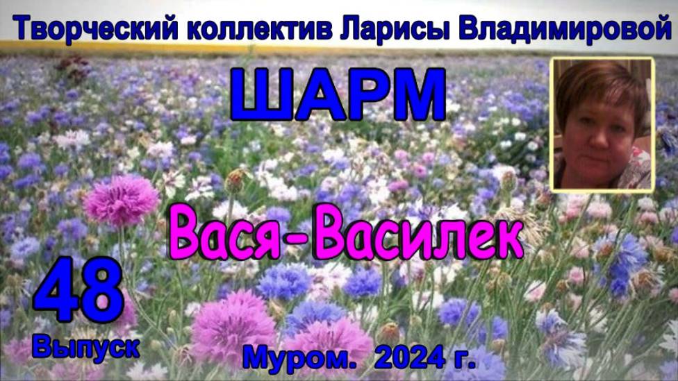 Муром. Шарм. "Вася-Василек"