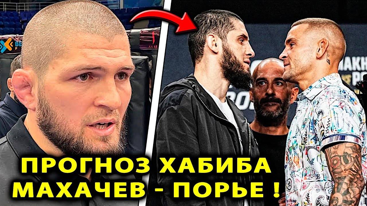 Хабиб ДАЛ ПРОГНОЗ на БОЙ Махачев - Порье UFC 302 / Ислам ПРО Царукяна Армана Нурмагомедов Дастин юфс