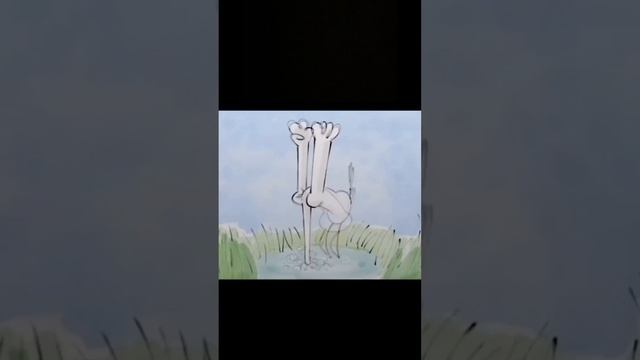 👀