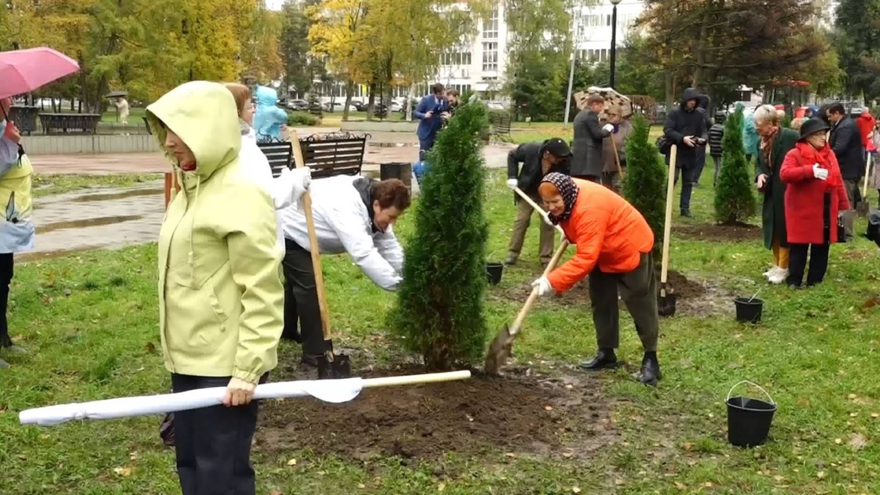 В Ярославле началась высадка аллеи труда