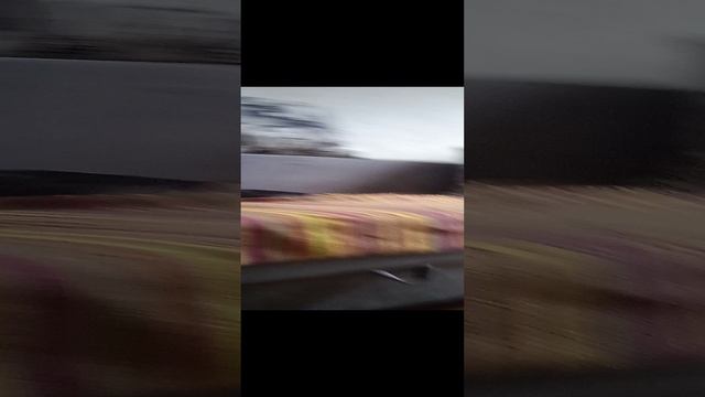 VID_20241009_121115.mp4