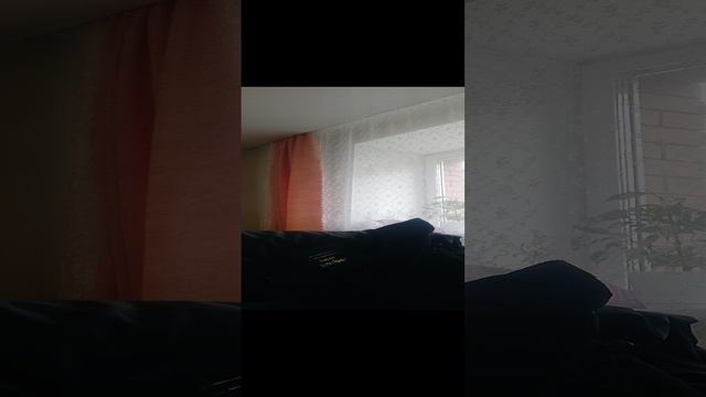 эксперименты и разборка на экспериментов