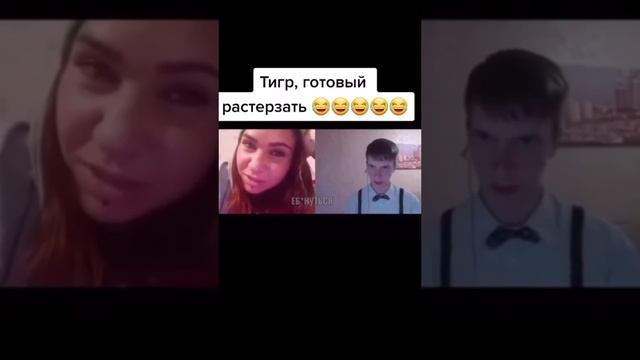 Тигр готовый растерзать