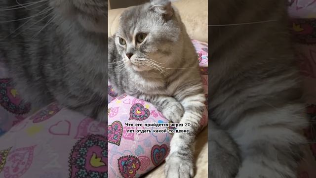 ОЧЕНЬ ОПАСНОЕ заболевание #рекомендации #shorts #youtubeshorts #смешныевидео #приколы #funny