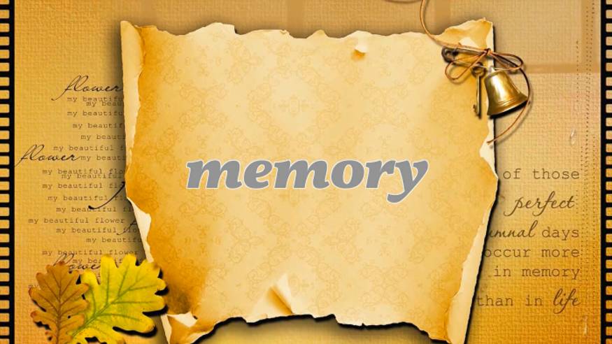 Memory