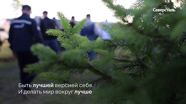 Программа корпоративного волонтёрства «Северстали»