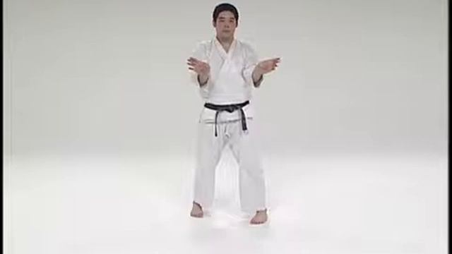 Uechi-Ryu Karate-Do Uehara Isami 1