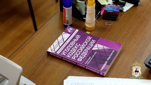 В Шахунье полицейские по горячим следам раскрыли кражу из магазина цифровой техники