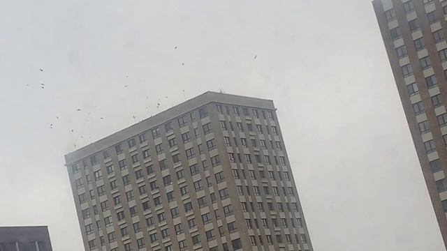 Зона турбулентности