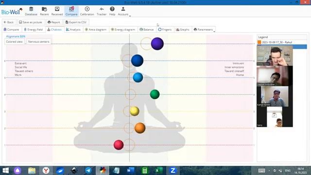 Chakras interpretation with the use of the Bio-Well camera.