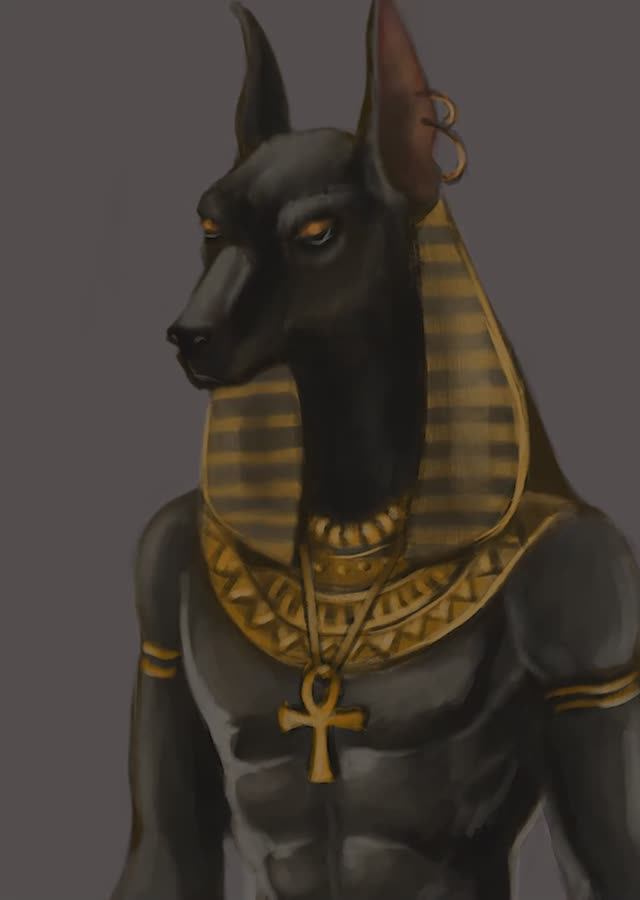 Anubis. Procreate timelapce drawing