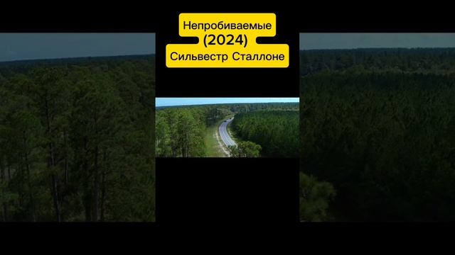 Непробиваемые (2024) Сильвестр Сталлоне