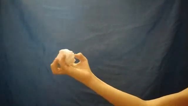 Фокус с ёжиком