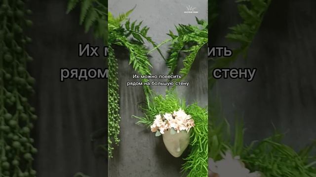 Вертикальное озеленение кашпо | НА СТЕНЕ ТРАВА