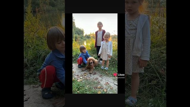 Марли Кокер спаниель Английский #Марли #КОКЕРСПАНИЭЛЬ #английскийкокер #ТаняАняМартин #МарлиИЯ #Лабр