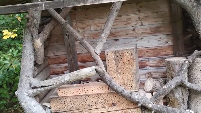 Прогулочной тропой