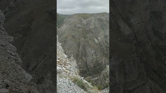 YouCut_20241009_115503444.mp4