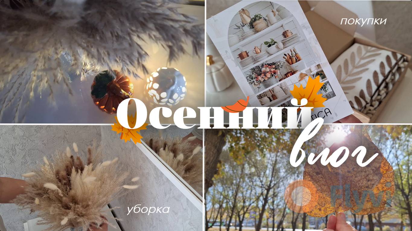 Уютная осень: покупки, декор, уборка, прогулки/ Осенние новинки Фикс прайс/ Покупки Wildberries