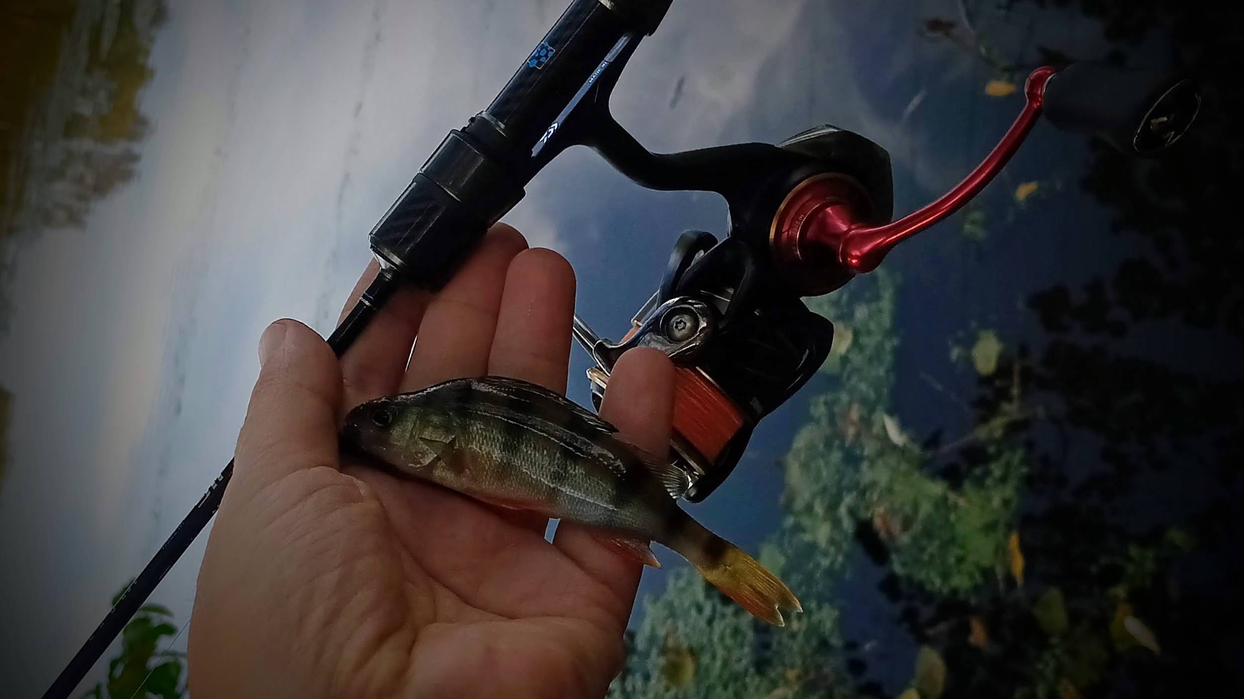 Мормо и нано  MIFINE NANO JIG (0.5-2g) 183cm теранит окуней