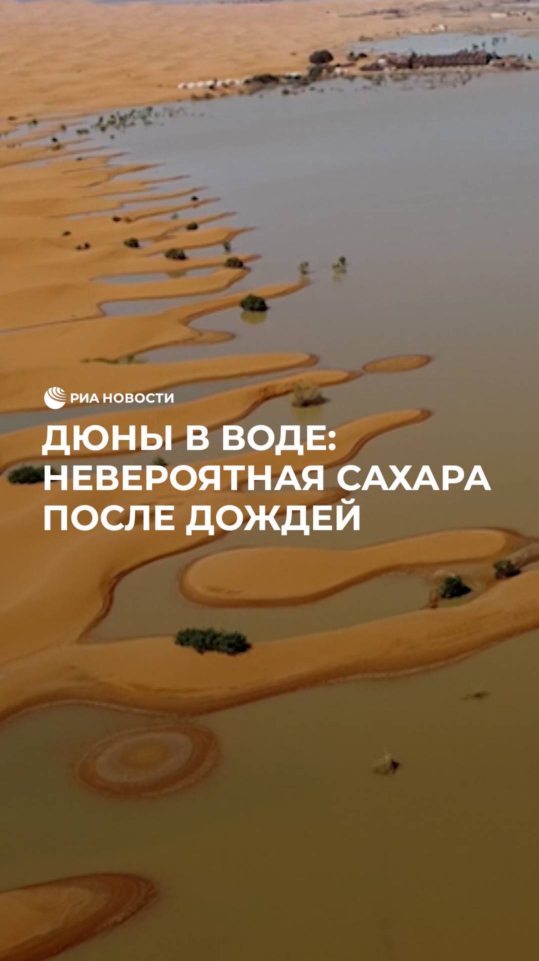 Дюны в воде: невероятная Сахара после дождей