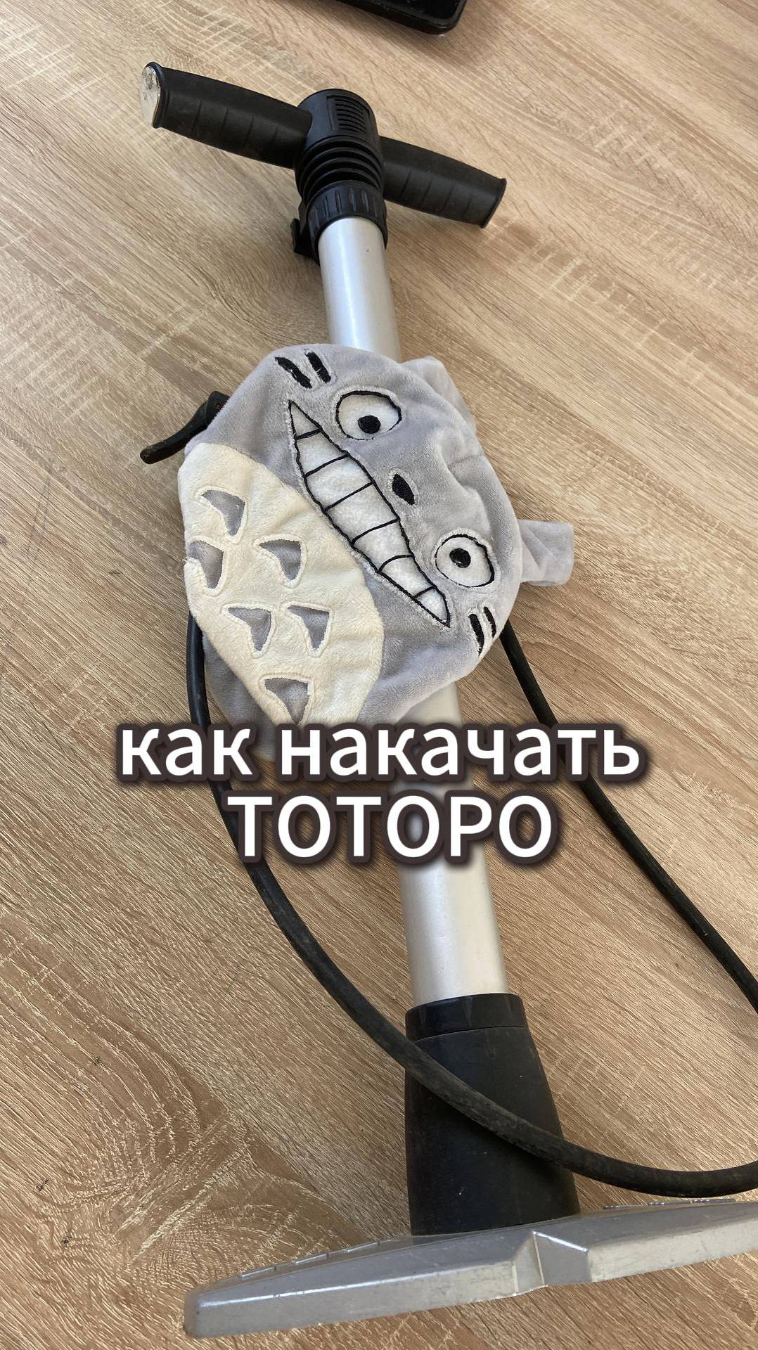 качаю Тоторо