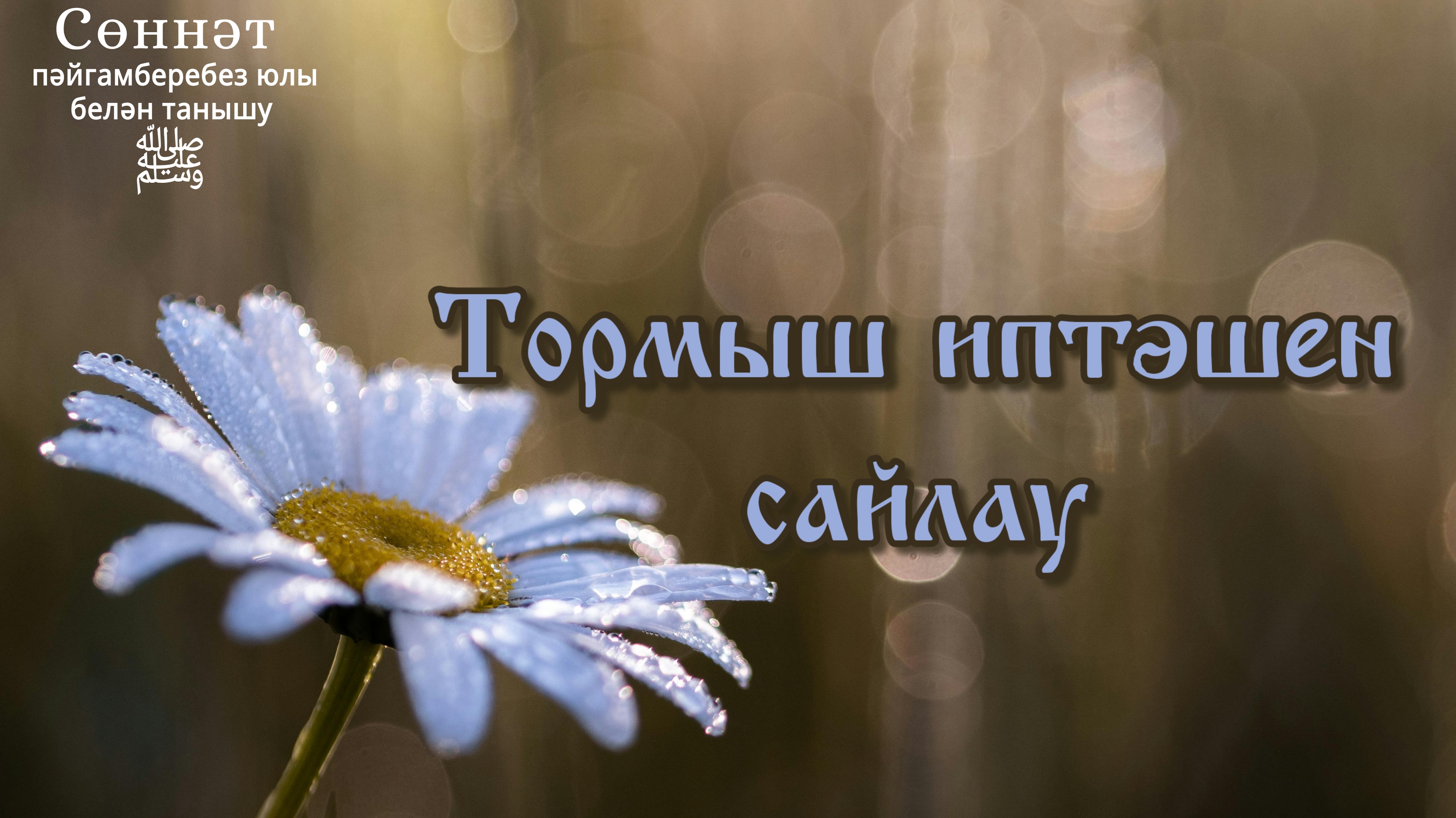 Тормыш иптәшен сайлау | Рамил Гәйнетдинов