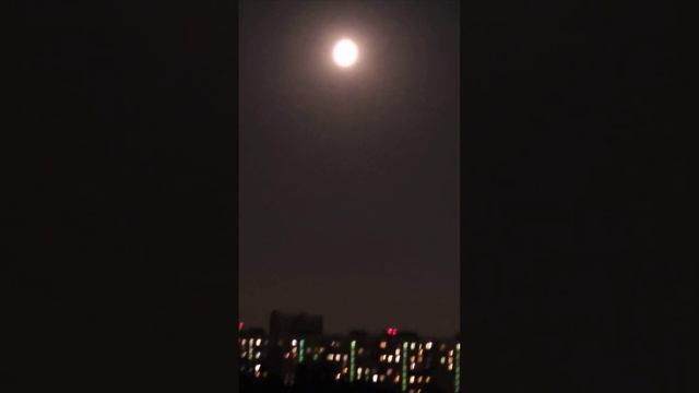 Сектор Газа - Вой на луну. Юрий Клинских. Юра Хой.