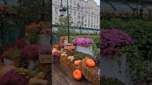 🎃Фестиваль «Золотая осень» проходит на Тверской площади до 13 октября🎃