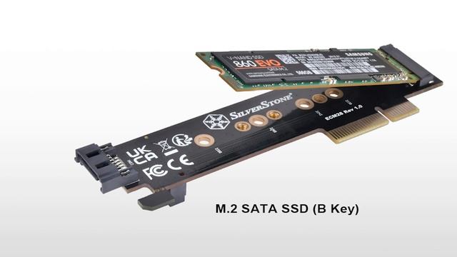 SilverStone ECM28 1 x NVMe & 1 x SATA M.2 SSD to PCIe x4 1U Adapter Card