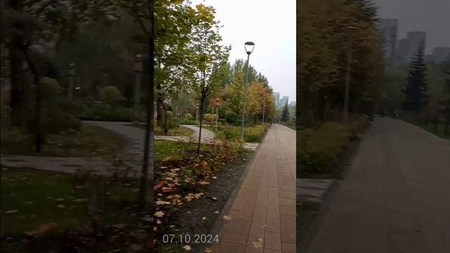 Сквер "Отрадное". Осенняя красота