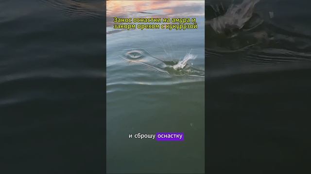 Новое видео уже на канале!