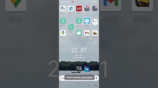 ColorOS 11 Android 11 Crazy Error