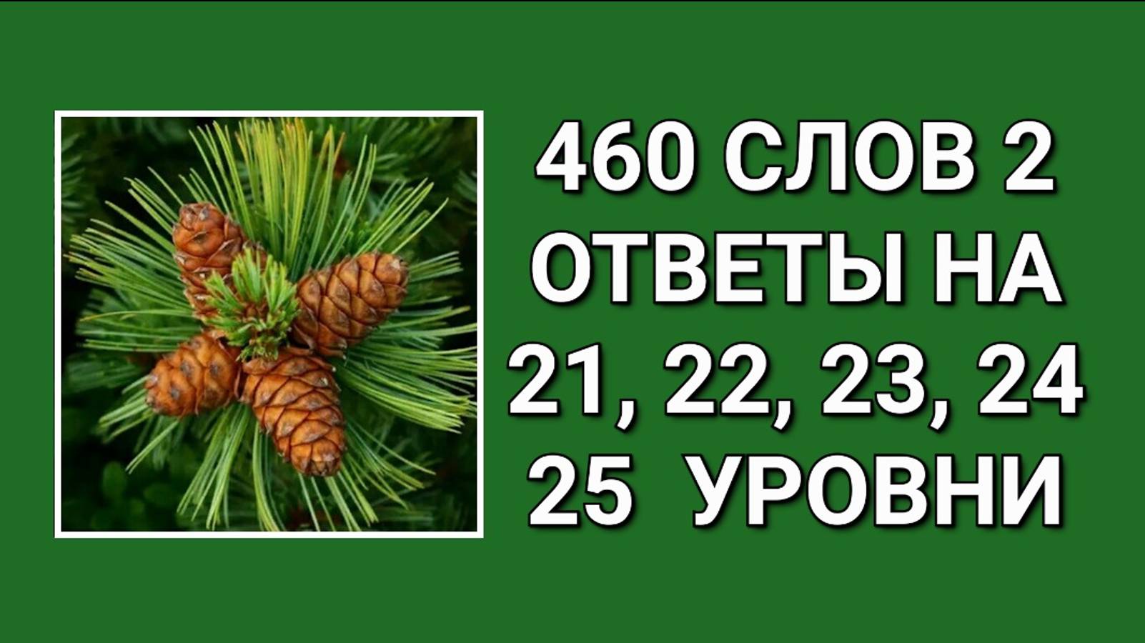 Словесная игра 460 слов 2 ответы на 21, 22, 23, 24, 25 уровни