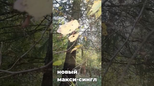 Большой Ногами - Осень (тизер)