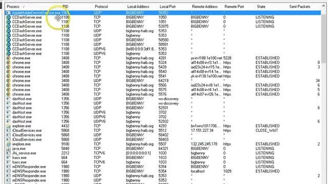 Detecting Virus TCPView