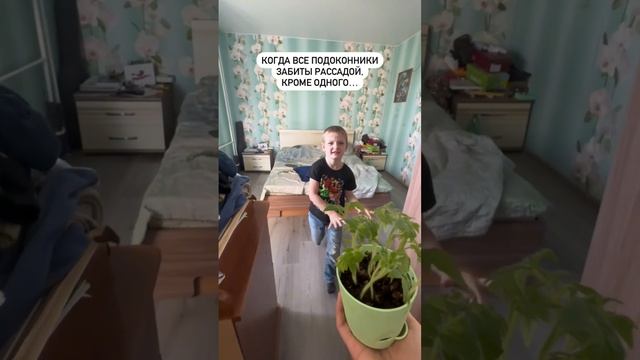 -6826464757946962864.mp4