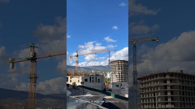 😺Пушистый обзор