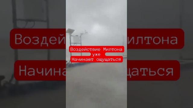 Воздействие Милтона уже начинает ощущаться в Селестун #новости