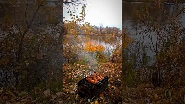 Шашлыки на реке / Отдых на природе