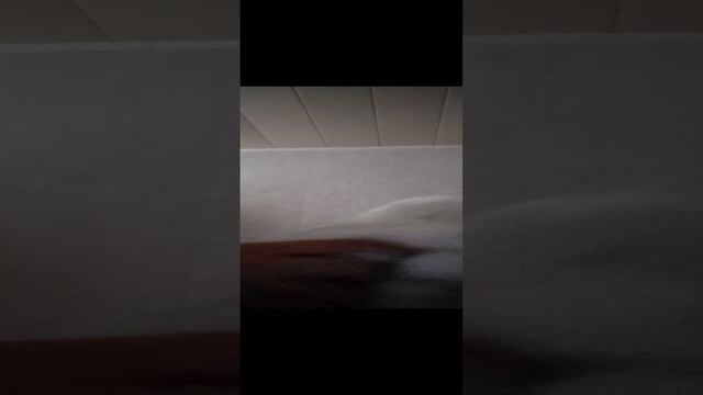 На арене два бойца