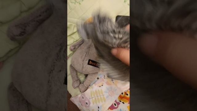 обзор на вещи Баси