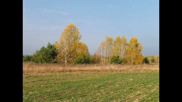 Александр Тарыкин - Осень любви