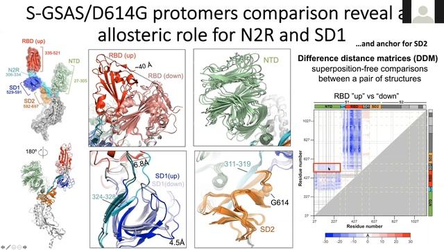 Sophie Gobeil, Ph.D - Structural, biophysical, and biochemical studies of SARS-CoV-2 spike variants