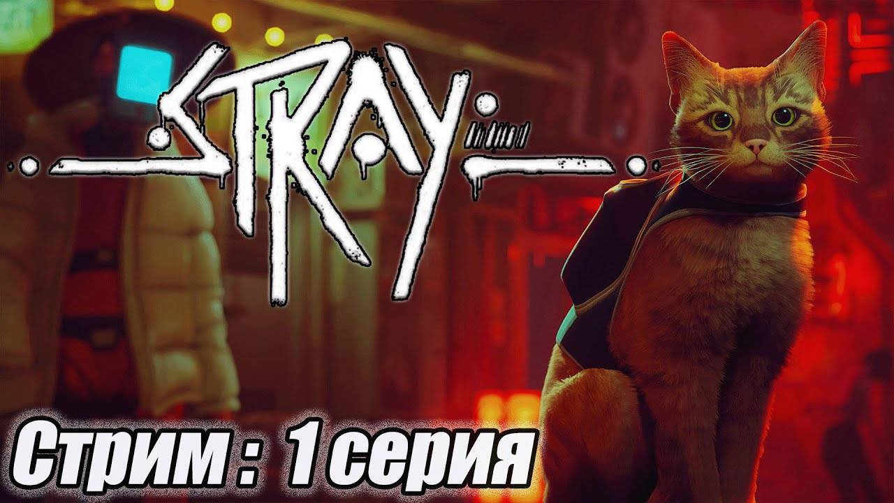 Stray  Стрим 1 #bulldezeer #старинабульдозер #stray  #бульдозеригры