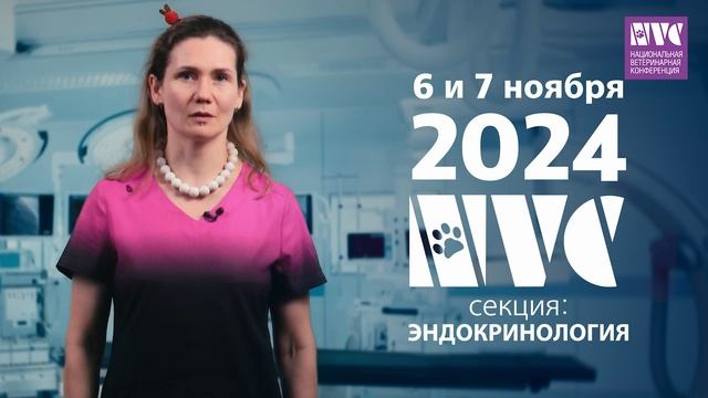 Ольга Смирнова о секции «Эндокринология».  NVC 2024