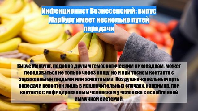 Инфекционист Вознесенский: вирус Марбург имеет несколько путей передачи